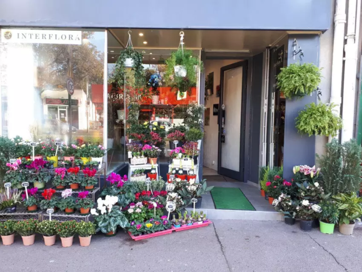 Livraison de fleurs en direction de Joinville-le-Pont<br/>Livraison de fleurs près de Joinville-le-Pont<br/>Livraison de fleurs vers Joinville-le-Pont